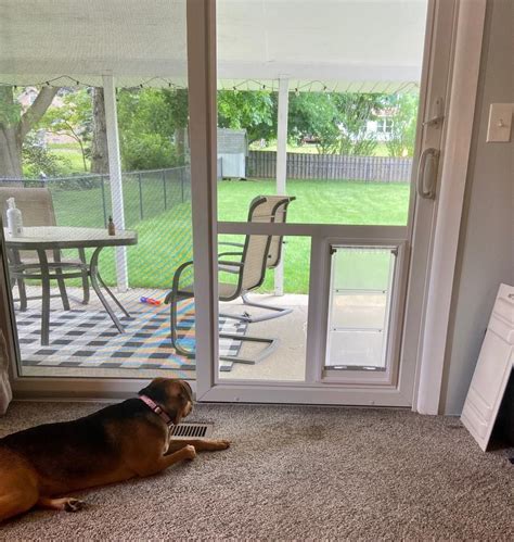 That means no holes in your doors or walls, and it's easy to take with you if you move. Pet Door Guys - in 2020 | Sliding glass door, Pet door, Patio panel pet door