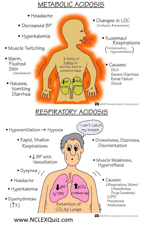 Cns trauma, infarct, haemorrhage or tumour. Signs & Symptoms of Metabolic and Respiratory Acidosis ...