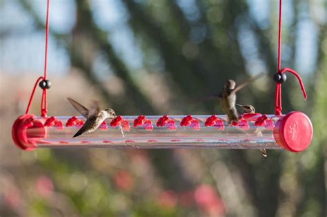 Ultimate Hummingbird Feeder With 22 Nectar Ports One Of A Kind