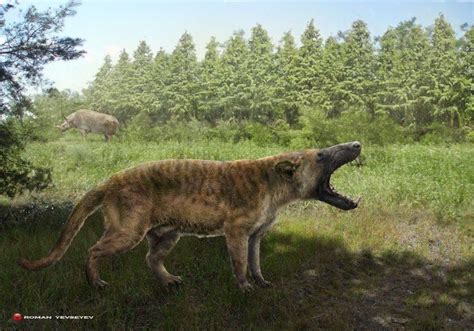 An Artists Rendering Of A Hyena With Its Mouth Open In The Grass