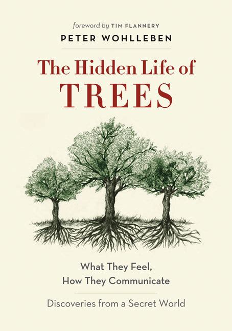 A Super Book About Trees The Biophilium