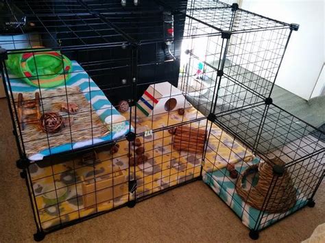 Need Some Ideas Or Inspiration For Building Your Own Indoor Rabbit Cage