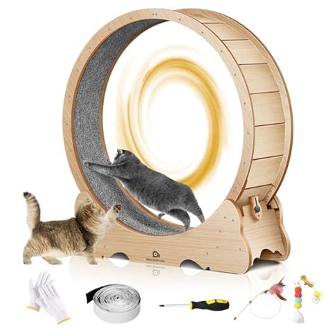 Cat Hamster Wheel The Best Products Compared Wild Explained