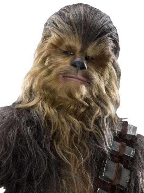 Image Chewbaccapng Star Wars Canon Extended Wikia Fandom Powered