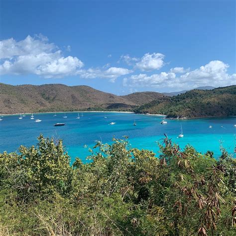 Maho Bay Beach Cruz Bay 2023 Qué Saber Antes De Ir Lo Más