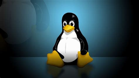 Por Qué El Pingüino Tux Es La Mascota De Linux Computer Hoy