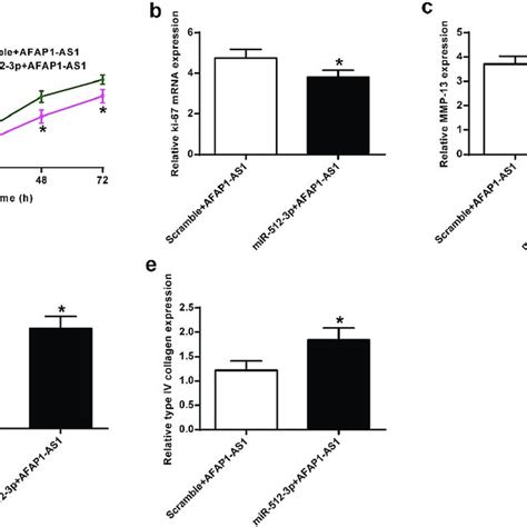afap1 as1 regulated chondrocyte proliferation and collagen expression download scientific