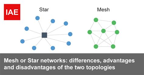 Mesh Or Star Networks Differences Advantages And Disadvantages Of The