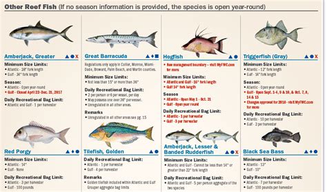 One fish over 19″ per boat per day is allowed. √ Florida Recreational Saltwater Fishing Regulations