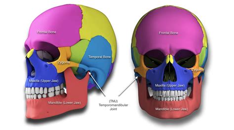 Syndromes Craniofacial Deformities Dell Childrens Craniofacial