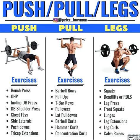 Push Pull Legs Schema