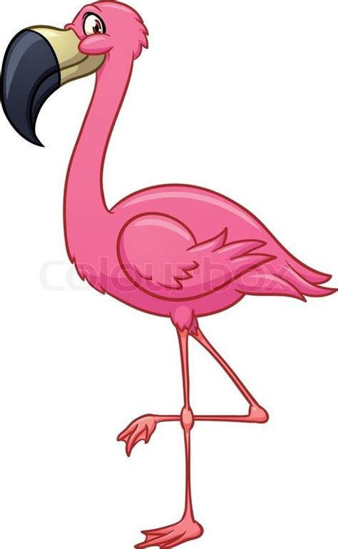 Cartoon Flamingo Vector Colourbox Flamingo Vector Flamingo