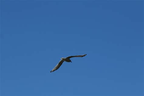 1123456 | Jalan Day | Flickr