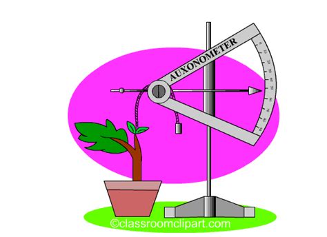 Science Animated Clipart Plantgrowthgacc