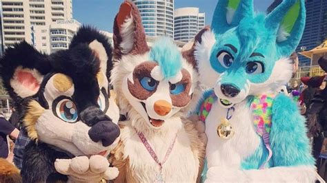 Furries Furry Fandom Takes Over Surfers Paradise For Convention Gold