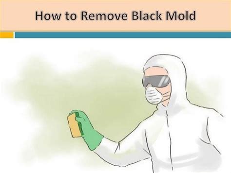 How To Remove Black Mold