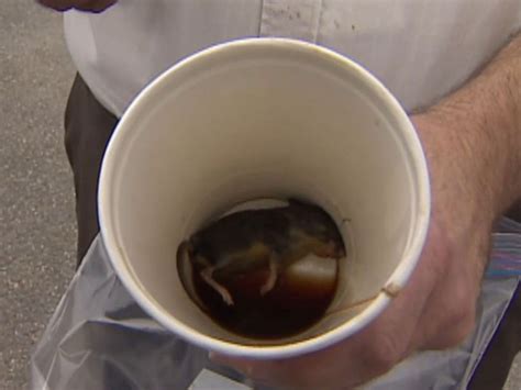 Canadian Man Finds Dead Mouse In Mcdonalds Cup Of Coffee The Independent The Independent