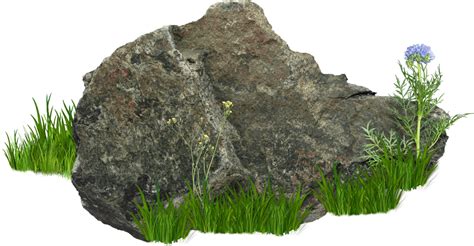 Grass On Rocks