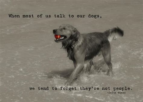 Best Friend Dog Quotes Quotesgram