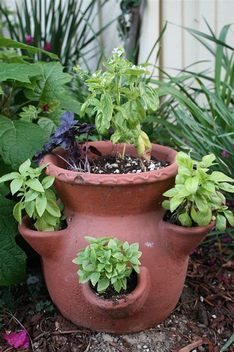 Awesome 10 Containers Herbs Garden Ideas 10
