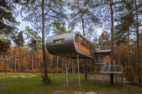 Gallery Of The Tree House Baumraum 13