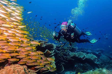 Best Diving Sites Of El Nido Tabanka Divers El Nido Palawan