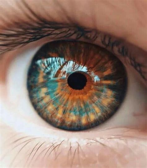 Pin By Emily Esplin On Референсы Beautiful Eyes Color Eye Close Up