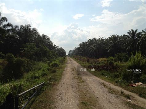 Find the best agricultural land in kerala. HUTAN MELINTANG DEVELOPMENT LAND, TAMAN SERI BERNAM, Hutan ...