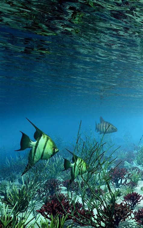 Sobre essa raça antiga e muito poderosa está o destino de pan gu. Baixar Oceanos - Oceano Papel De Parede Animado Para ...