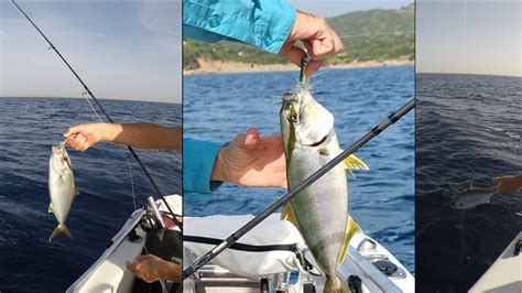 Euroflyangler Amberjack Fly Fishing Mediterranean Sea Fly Fishing