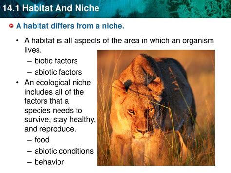 Ppt Key Concept Every Organism Has A Habitat And A Niche Powerpoint