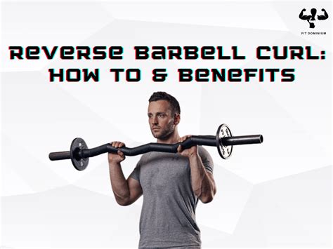 Reverse Barbell Curl How To And Benefits Fitdominium