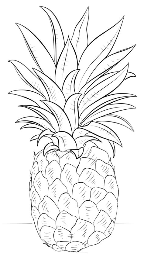 Printable Pineapple Coloring Pages Printable World Holiday