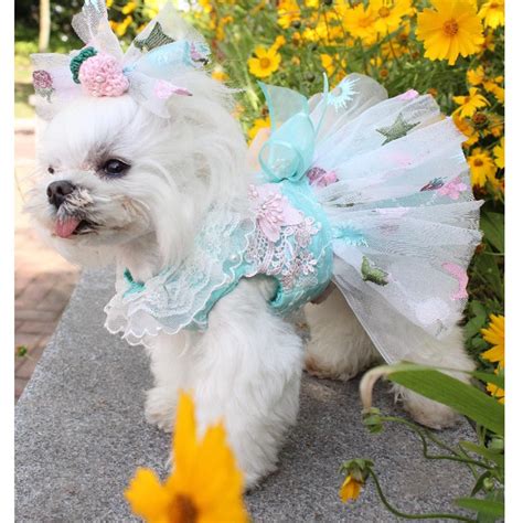 Dog Dress Luxury Dogs Weeding Dress Embroidery Lace Tutu Etsy