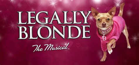 Legally Blonde The Musical Mti Europe