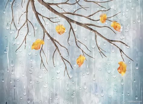 Autumn Branches With Rain Drops Wallpaper Download Rain