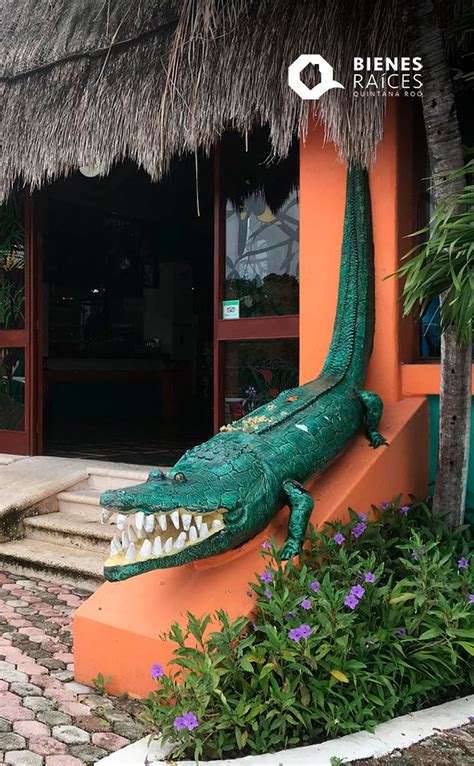 Croco Cun Zoo Recinto Para Los Cocodrilos En Puerto Morelos ¡vamos