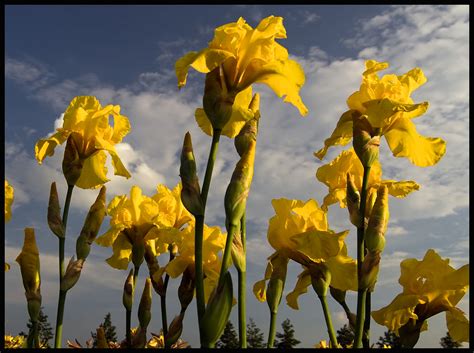 Danach kommen 93 prozent der briefe am darauffolgenden tag beim empfänger an. Der Frühling kommt ! Foto & Bild | sonstiges Bilder auf ...