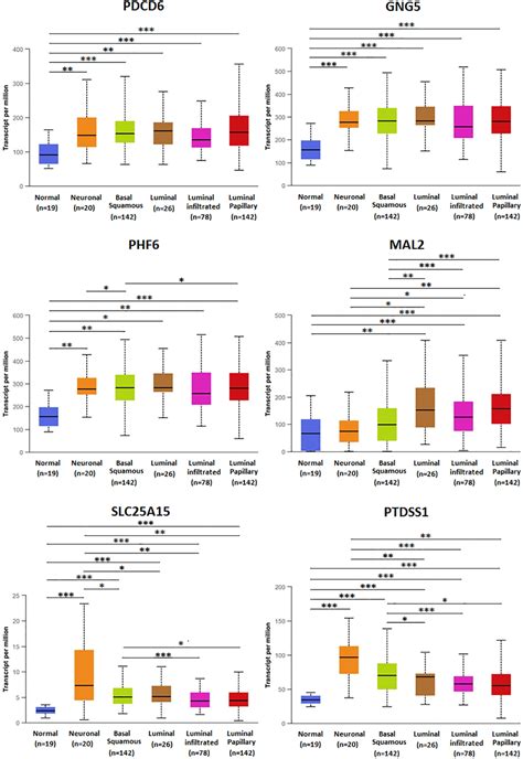 Transcriptional Expressions Of Hsa Mir Predicted Target Genes As