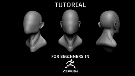 Sculpting A Base Head From Scratch In Zbrush 4r8 Beginners Tutorial
