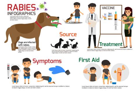 Rabies Dogs Illustrations Royalty Free Vector Graphics And Clip Art Istock