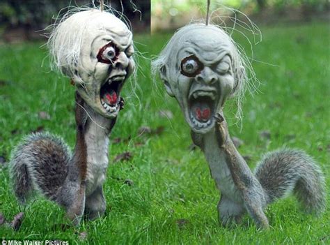 Forget cutesy decorations, these ideas are downright freaky. Ha ha, candy in a zombie head = squirrel in a zombie head ...