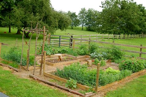 You don't need a large space. shorties funny farm: ::how I got my cottage garden::
