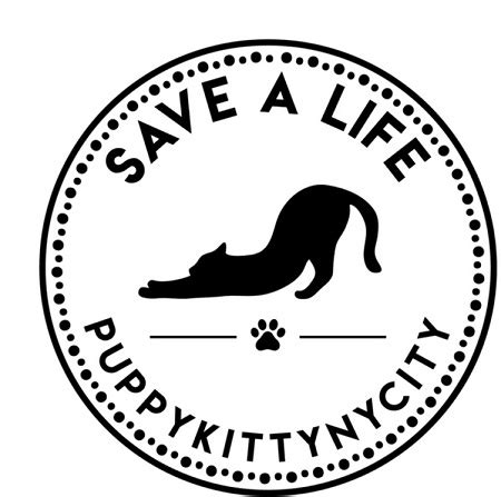 March 2019 Healthy Paws Foundation Rescue Race Winners ...