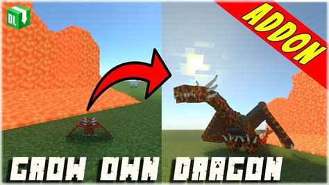 Grow Your Own Dragon Addon Minecraft Bedrock Edition Mcpe Youtube