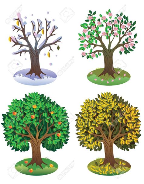 Seasons Of The Year Tree Four Seasons O En 2020 Lecturas De