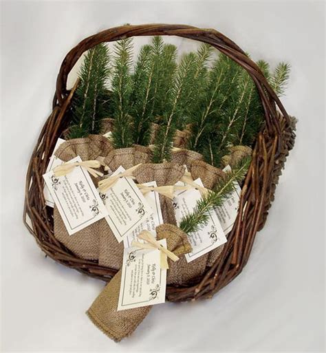 40 Inexpensive And Unique Wedding Favors Ideas Wear4trend Plant