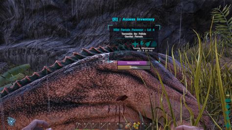 Ark Survival Evolved How To Tame Your First Dinosaur Allgamers