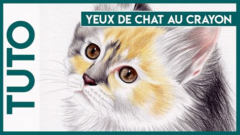 Sorte de pierre précieuse chatoyante. Tuto n°2 Dessiner des yeux de chat en moins de 5 min ...