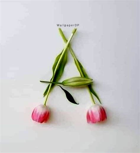 Integer, 0 to 1e+9 inclusive. Real flower Unique A to Z Alphabet dp pics for Whatsapp ...